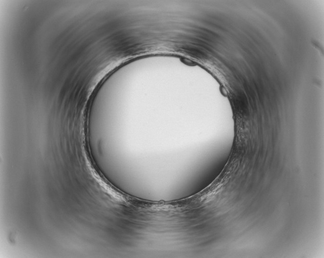 X0000098111142200804181444