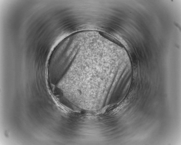 X0000098111144200804181444