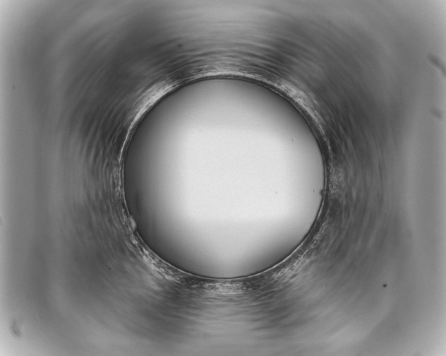 X0000098111145200804181444