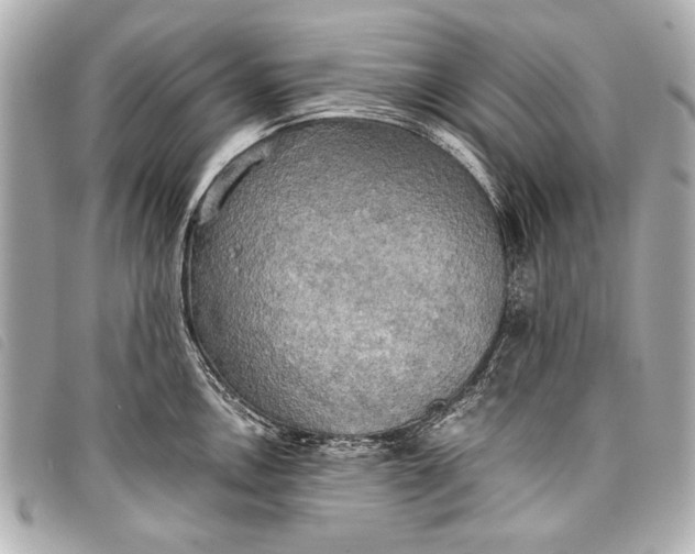 X0000098111146200804181444