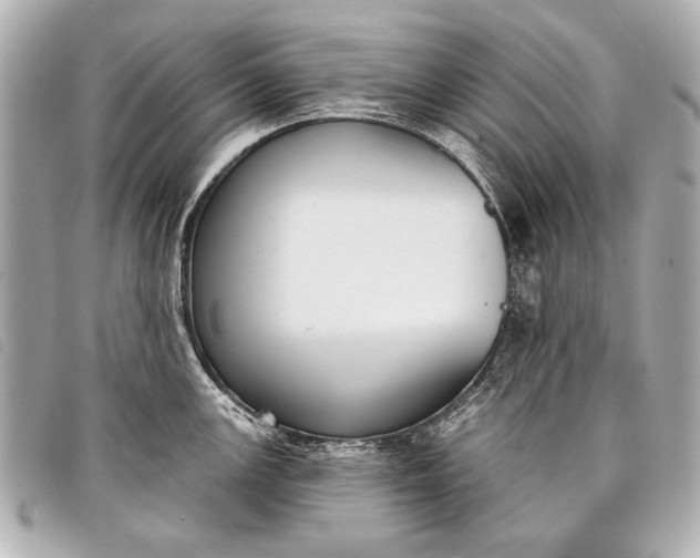 X0000098111147200804181444
