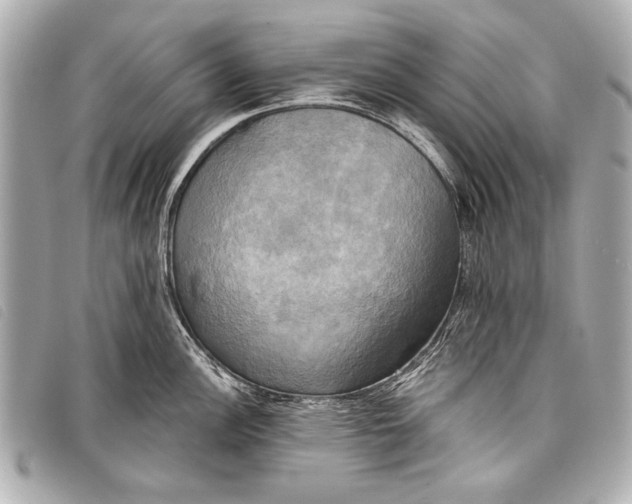 X0000098111148200804181444