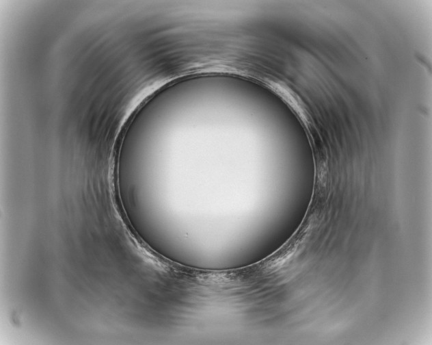 X0000098111149200804181444