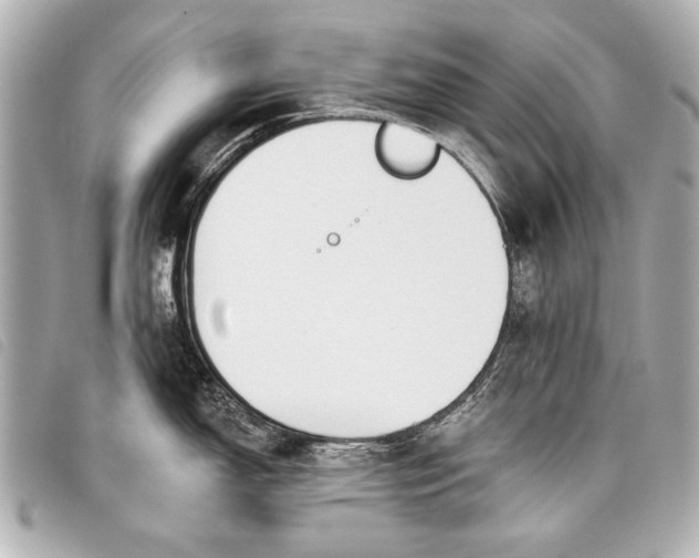 X0000098111150200804181444
