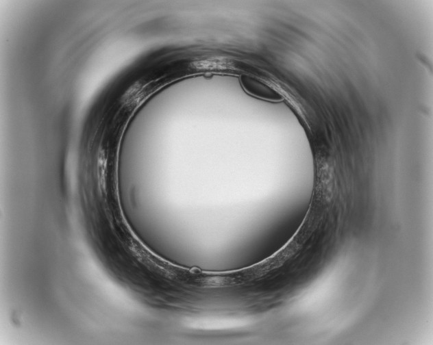 X0000098111151200804181444