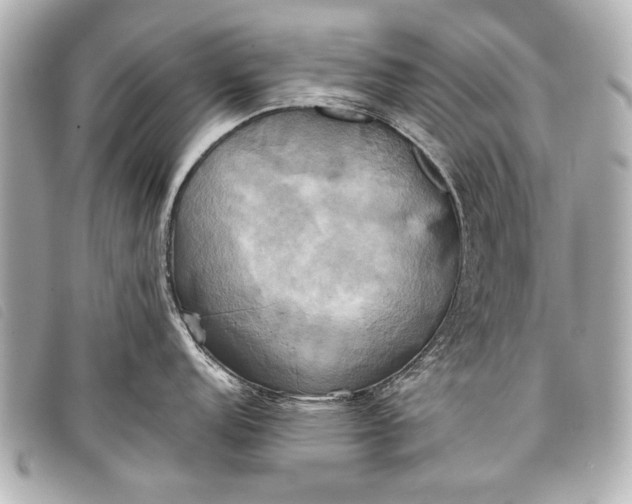 X0000098111152200804181444