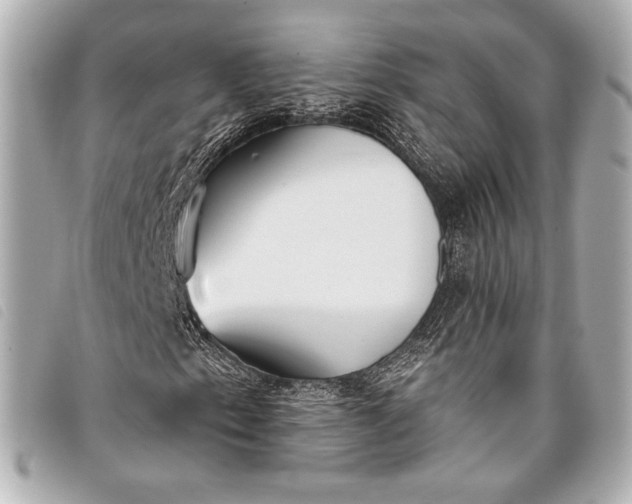 X0000098111153200804181444