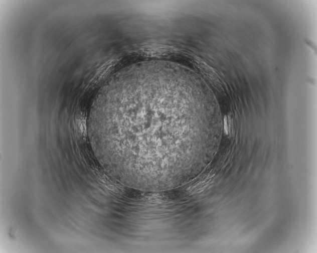 X0000098111155200804181444