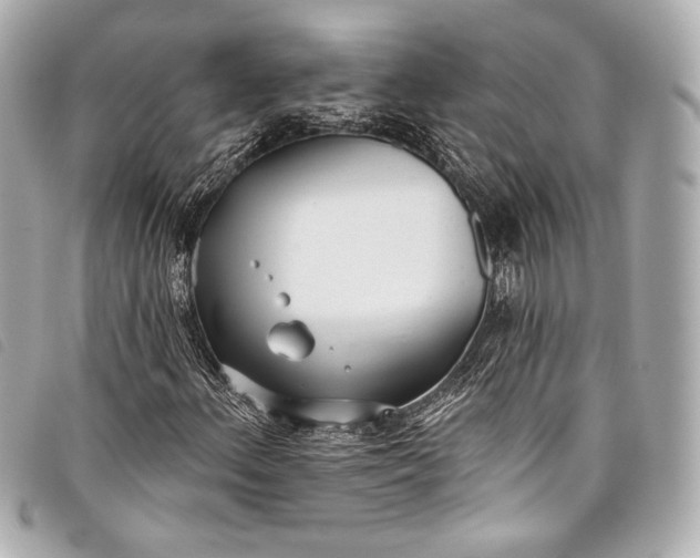 X0000098111156200804181444