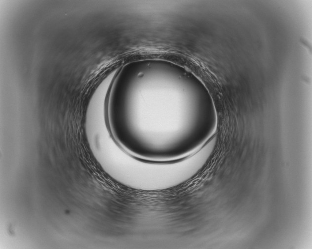X0000098111157200804181444
