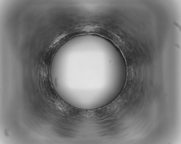 X0000098111158200804181444