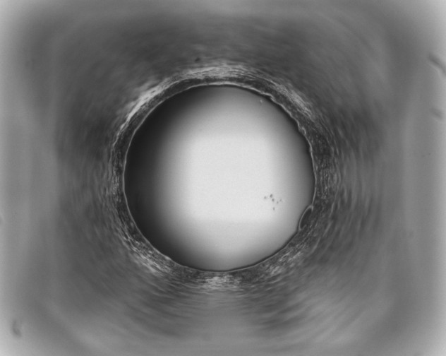 X0000098111160200804181444