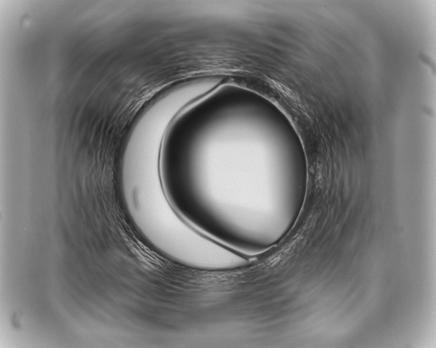 X0000098111161200804181444