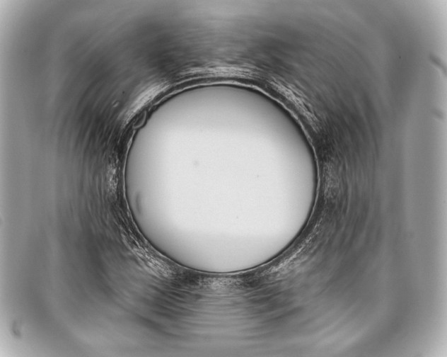 X0000098111163200804181444