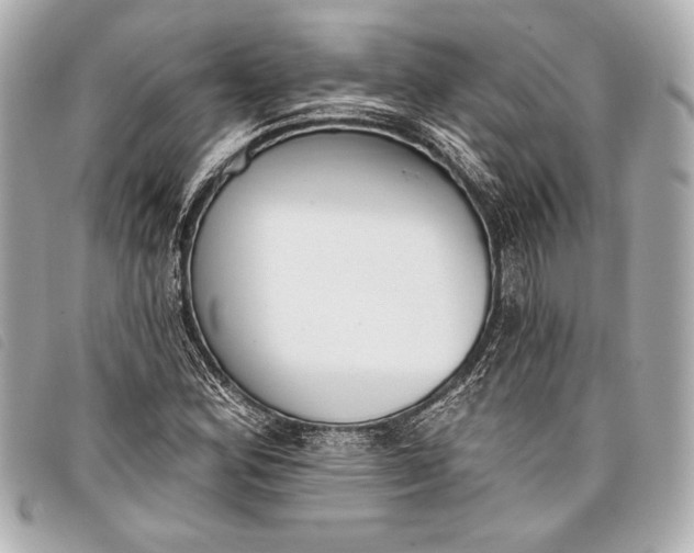 X0000098111164200804181443