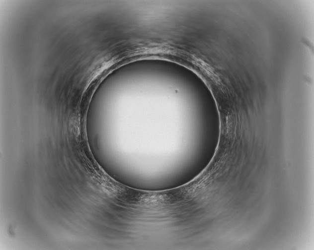 X0000098111165200804181443