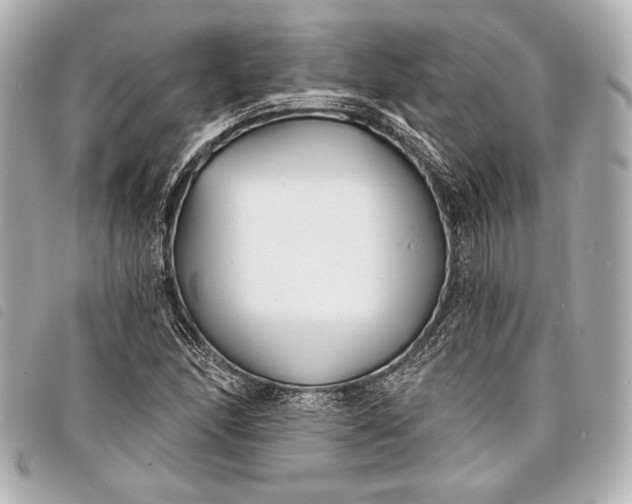 X0000098111166200804181443