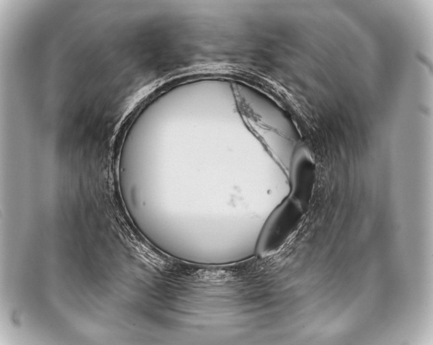 X0000098111168200804181443