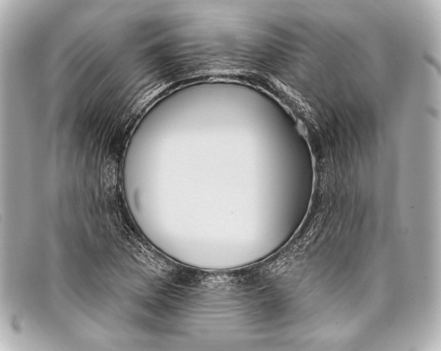 X0000098111169200804181443