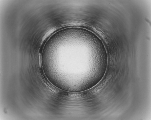 X0000098111171200804181443
