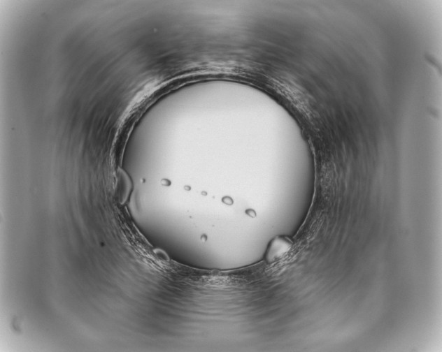 X0000098111172200804181443