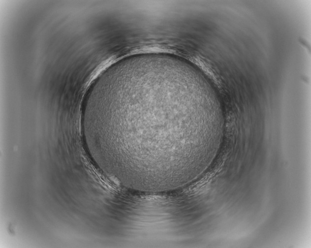 X0000098111173200804181443