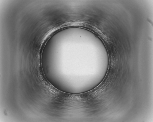X0000098111174200804181443