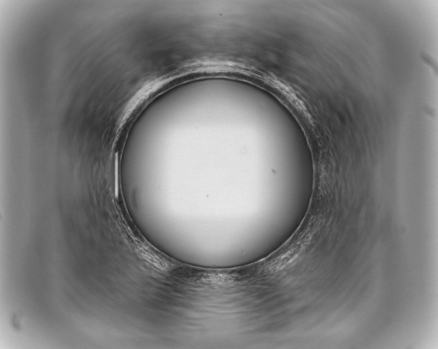 X0000098111175200804181443