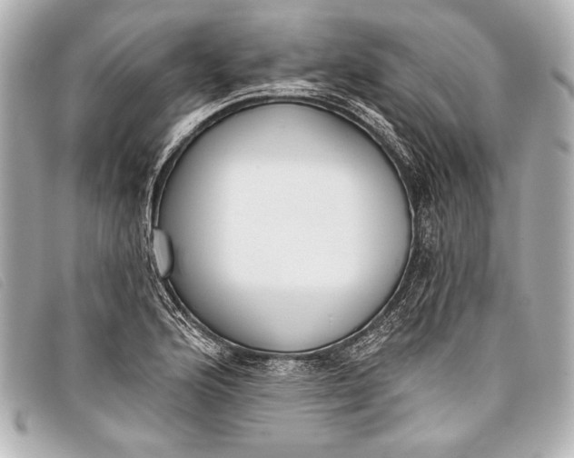 X0000098111176200804181443