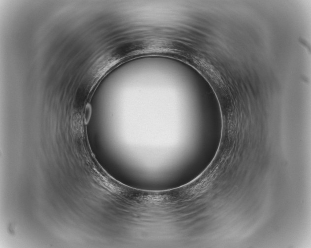 X0000098111177200804181443