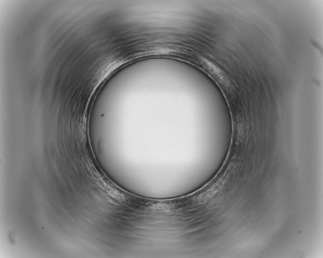 X0000098111178200804181443