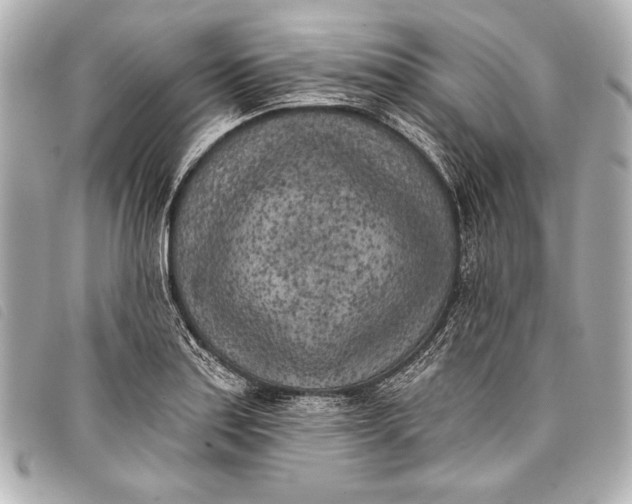 X0000098111179200804181443