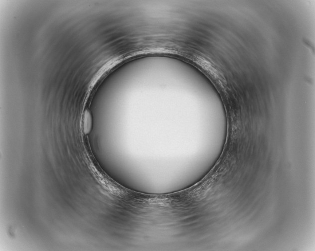 X0000098111181200804181443