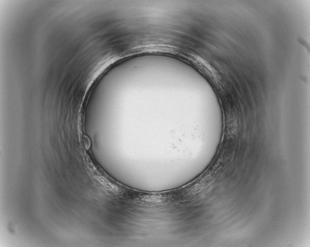 X0000098111182200804181443