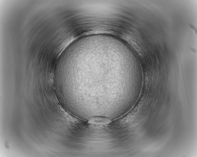 X0000098111185200804181443
