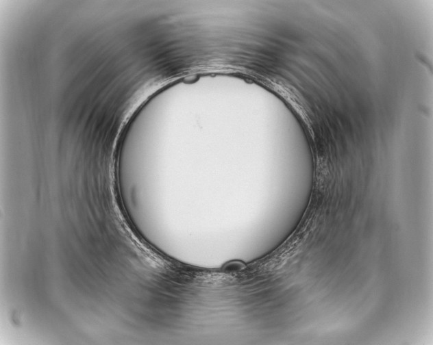 X0000098111187200804181443