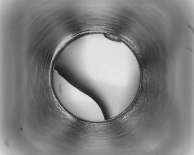 X0000098111188200804181443