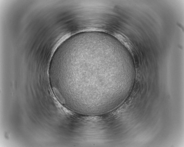 X0000098111189200804181443