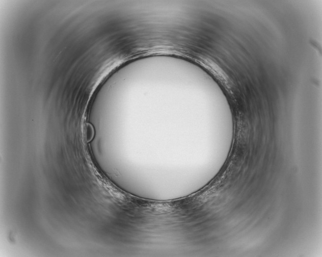 X0000098111190200804181443