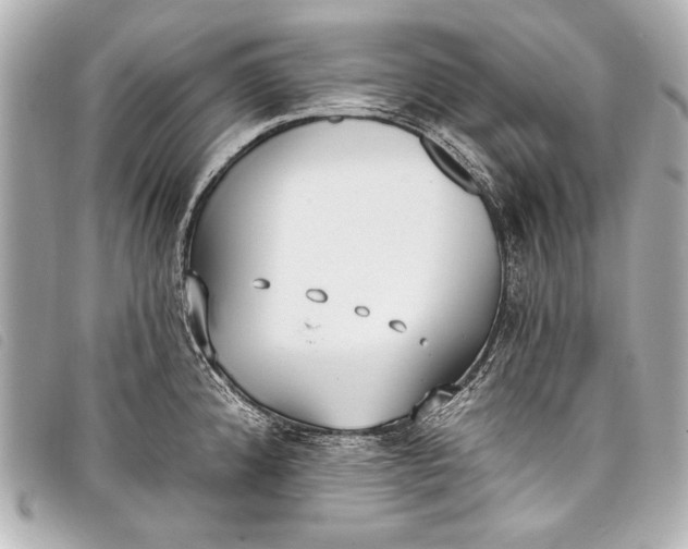X0000098111192200804181443