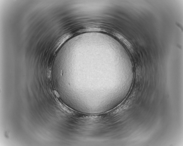 X0000098111193200804181443
