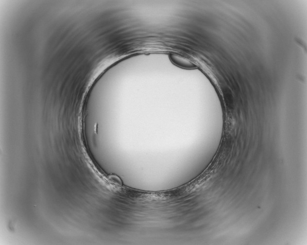X0000098111195200804181443