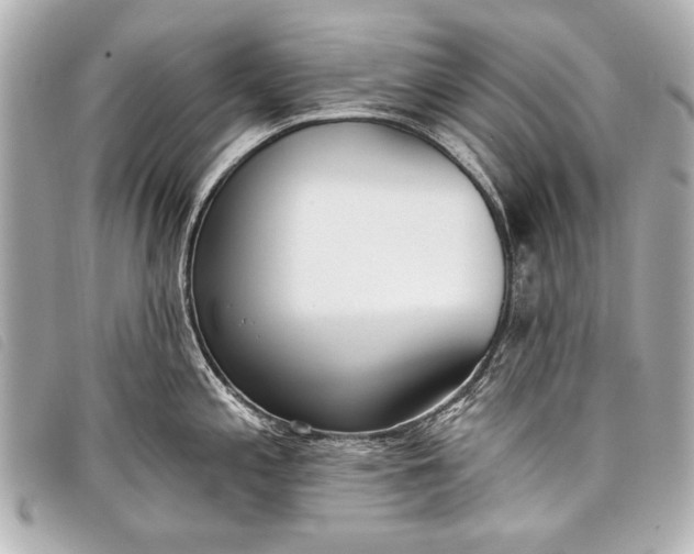 X0000098111197200804181443