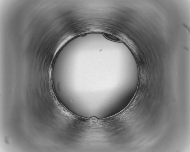 X0000098111198200804181443