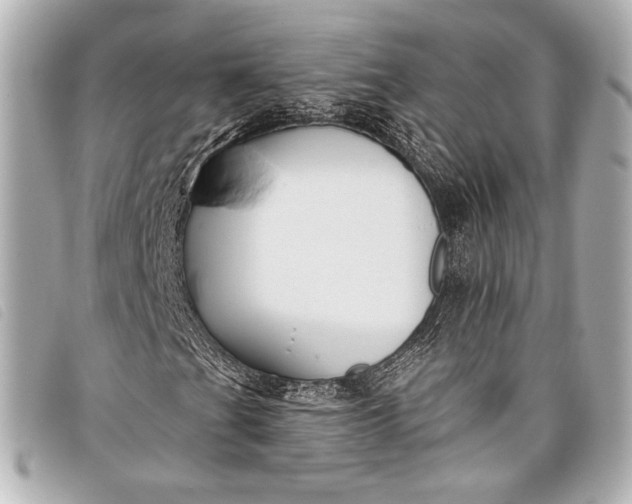 X0000098111201200804181442