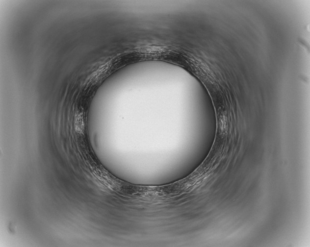 X0000098111204200804181442