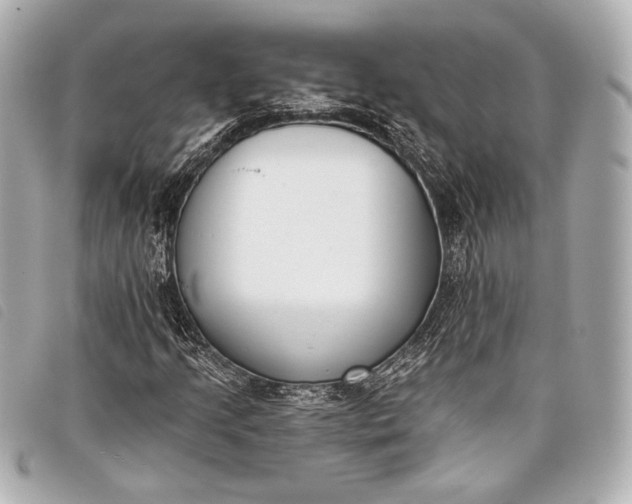 X0000098111205200804181442