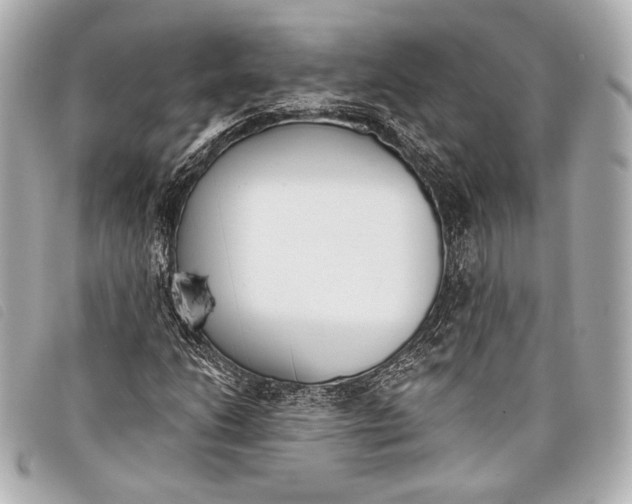 X0000098111206200804181442