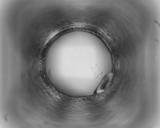 X0000098111208200804181442