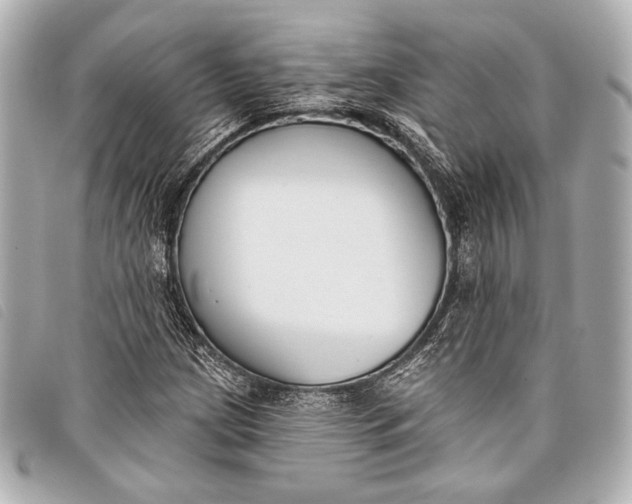 X0000098111209200804181442